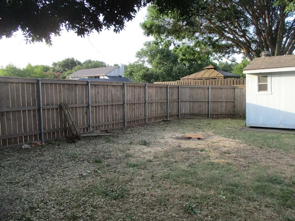 Cleared yard after professional tree removal in Milton Center