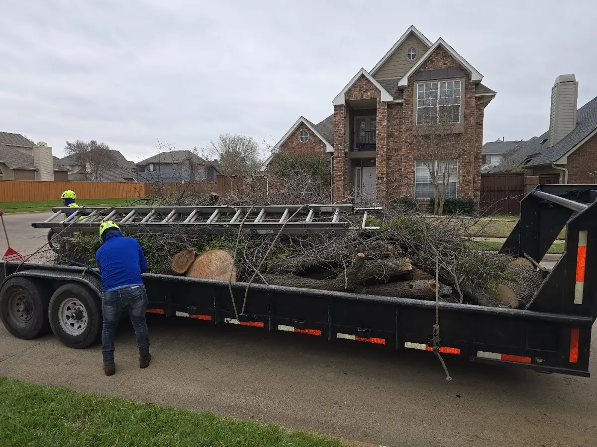 Expert Tree Removal with proper safety equipment in Milton Center